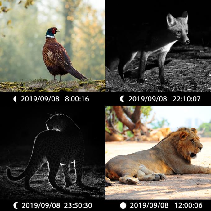 Fotocamera di caccia a infrarossi 30MP1080P Fotocamere a doppio obiettivo per giochi all'aria aperta Trap Wildlife Waterproof 940nm IR Camera 6