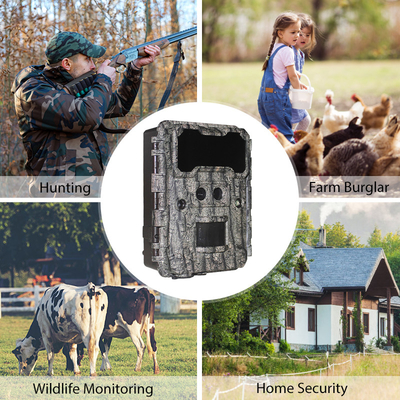 Fotocamera per animali selvatici ad alta risoluzione da 13 MP Cmos Dual Lens Trail Camera
