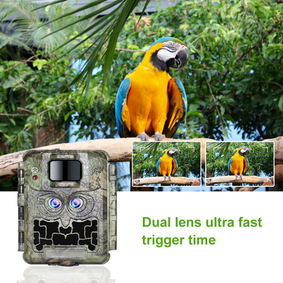 Macchina fotografica doppia 13MP CMOS della traccia della fauna selvatica della lente 1080P di DC12V nessuna camma di incandescenza