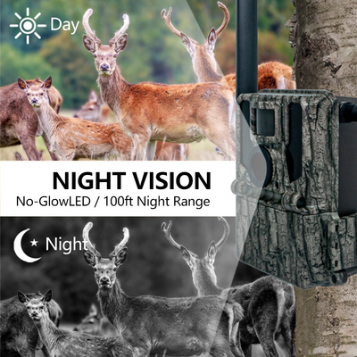 Keepguard 4G Camere cellulari per il percorso forestale della fauna selvatica con telecomando APP 36MP 2K/30fps Wild Game
