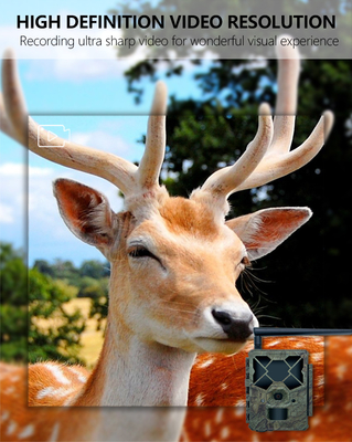 KW886 trail camera incorporata in scheda SIM 4G 24MP 1080P a 30fps IP67 impermeabile con controllo APP