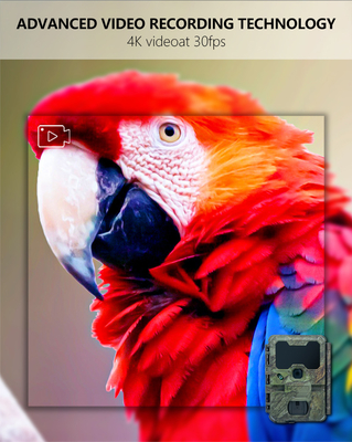 KW866 WIFI Percorso di caccia alla fauna selvatica Fotocamera impermeabile IP67 OEM/ODM 512GB Memoria SD 32MP 4K facile da usare