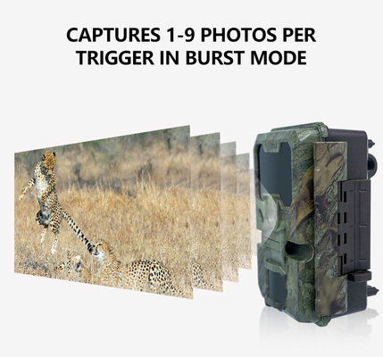 KW866 WIFI Percorso di caccia alla fauna selvatica Fotocamera impermeabile IP67 OEM/ODM 512GB Memoria SD 32MP 4K facile da usare