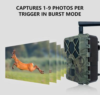 Fotocamera KW886 economica per la fauna selvatica con controllo APP 4G SIM card 24MP 1080P a 30fps fotocamera da gioco a visione notturna IP67 impermeabile