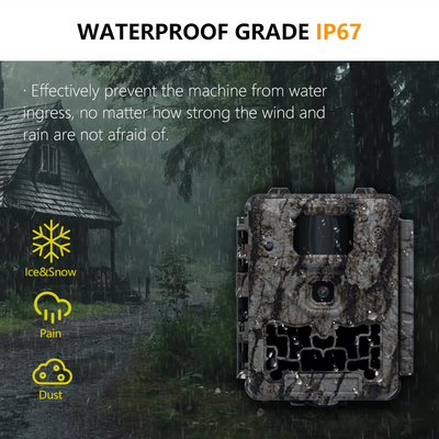 KW561 Wildlife Trail Infra Cam Mini 30MP 0.25s Velocità Risoluzione video 4K Sensore CMOS impermeabile Memoria SD Visione notturna
