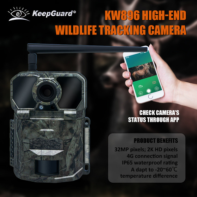 KW896 camera di traccia di caccia 4G camera di traccia cellulare fabbrica-vendita OEM ODM camera di monitoraggio della fauna selvatica