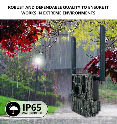4G Wireless Trail Camera Hidden Camouflage KW897 con doppia antenna visione notturna 36MP 2K Video per la caccia ai cervi
