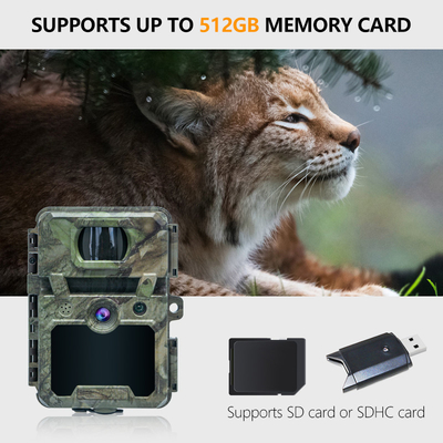 KW571 Factory ODM Mini Wildlife Scouting Timelapse Trail Camera IP67 Sensore CMOS senza bagliore e SD M