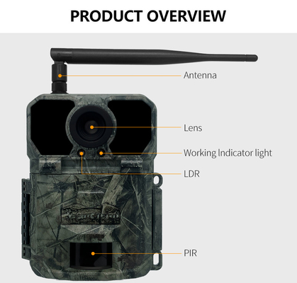 Camera di prova wireless 4G OEM/ODM KW895 30MP 0,25s velocità di attivazione integrata in scheda SIM IP67