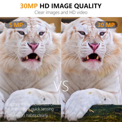 Fotocamere da caccia HD 30MP Camouflage di visione notturna Fotocamera con video 1080P e accessori da caccia impermeabili IP66