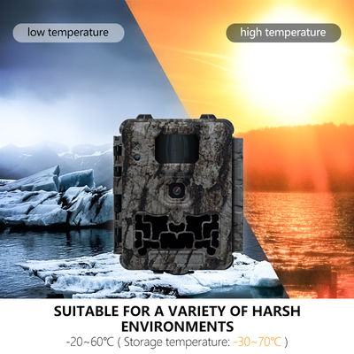 Fotocamera professionale per la caccia con Auto IR-Cut-Remove e supporto per micro obiettivo da 450mm per immagini chiare e dettagliate della fauna selvatica