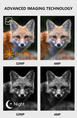 WIFI trail Camera KW866 impermeabile IP67 OEM/ODM fino a 512GB Storage SD Memory Card 32MP 4K wildlife camera