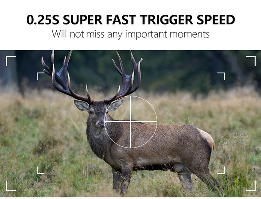 WIFI trail Camera KW866 impermeabile IP67 OEM/ODM fino a 512GB Storage SD Memory Card 32MP 4K wildlife camera
