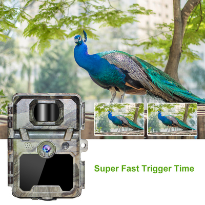 Trail Camera ODM/OEM KW571 impermeabile IP67 Sensore CMOS senza lucentezza 30MP foto 1080P 0,25s velocità di attivazione visione notturna