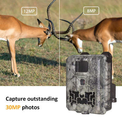 Trail Camera KW561 30MP 0,25s trigger Velocità 4K Video Resolution Ignifuga IP67 fino a 512GB