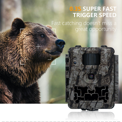 Trail Camera KW561 30MP 0,25s trigger Velocità 4K Video Resolution Ignifuga IP67 fino a 512GB