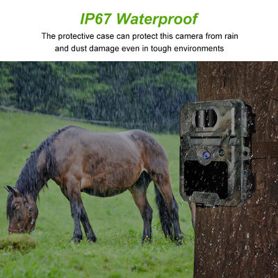 Fotocamera di caccia IP67 senza bagliore con supporto per microobiettivo da 450 mm e fotocamere di caccia HD a intervallo da 1s a 60 m
