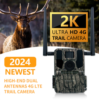 2024 Nuova High-End 4G Wireless Hunting Camera KW897 con doppia antenna 100ft Night Range 36MP 2K Video a 30fps per la fauna selvatica