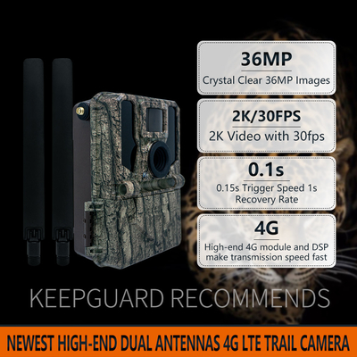 2024 Nuova High-End 4G Wireless Hunting Camera KW897 con doppia antenna 100ft Night Range 36MP 2K Video a 30fps per la fauna selvatica
