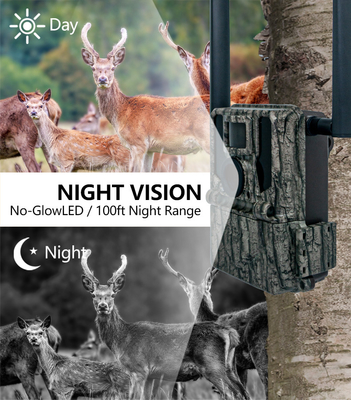 2024 Nuova High-End 4G Wireless Hunting Camera KW897 con doppia antenna 100ft Night Range 36MP 2K Video a 30fps per la fauna selvatica