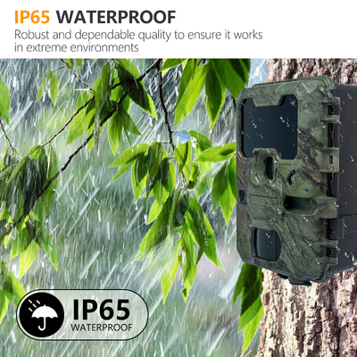 Fotocamera da caccia KW788 impermeabile IP67 video 4K 32MP facile navigazione semplice utilizzo robusta lunga durata di lavoro