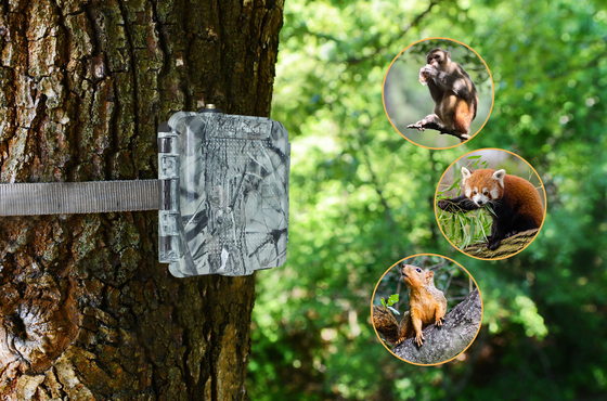 KG45 TRAMP ALARM TRAIL CAMERA per la caccia supporto 1 ~ 5 numeri di cellulare appassionati chiamata per trasmettere SMS risposta rapida