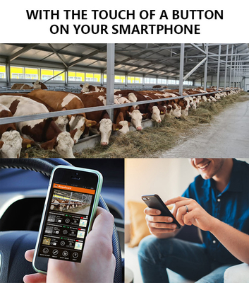 Fotocamera di prova 4G con antenna KW896 30MP 0,15s velocità di attivazione visione notturna impermeabile IP65 per la ricerca sulla fauna selvatica