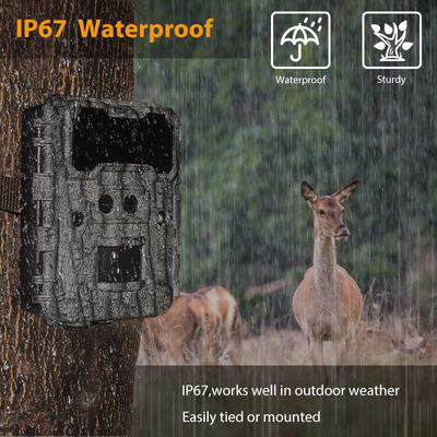 Fotocamere da caccia HD da 30MP con visione notturna LED senza lucentezza e funzione PIR per la sorveglianza della fauna selvatica