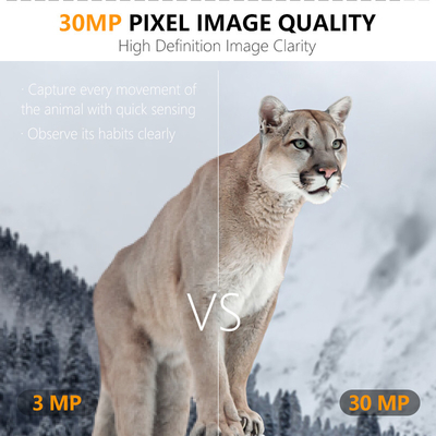 Fotocamera 4G KW895 con APP 2K FHD Video immagine 30MP impermeabile IP67 fino a 512GB di archiviazione per la ricerca sulla fauna selvatica