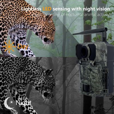 Fotocamera 4G KW895 con APP 2K FHD Video immagine 30MP impermeabile IP67 fino a 512GB di archiviazione per la ricerca sulla fauna selvatica
