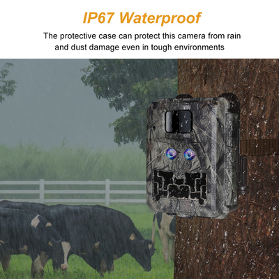 Fotocamera nascosta con doppia lente KW591 impermeabile IP67 30MP 1080P 0.4s Velocità di attivazione visione notturna fino a 512GB per la ricerca sulla fauna selvatica