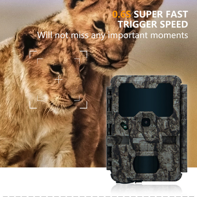 Telecamera da caccia con connessione WIFI KW865 impermeabile IP67 IR flash gamma fino a 82 piedi visione notturna 20MP/1080P per l'osservazione della fauna selvatica