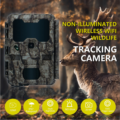 Telecamera da caccia con connessione WIFI KW865 impermeabile IP67 IR flash gamma fino a 82 piedi visione notturna 20MP/1080P per l'osservazione della fauna selvatica