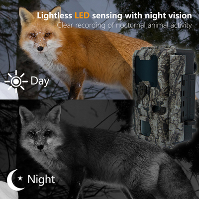 Telecamera da caccia con connessione WIFI KW865 impermeabile IP67 IR flash gamma fino a 82 piedi visione notturna 20MP/1080P per l'osservazione della fauna selvatica