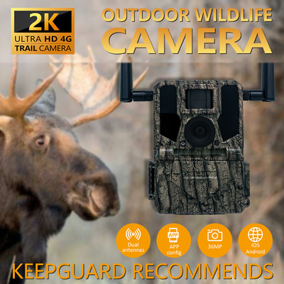 High-End GMS per 4G Camera da caccia KW897 con doppia antenna 100 piedi gamma notturna visione notturna 36MP video 2K per la ricerca sulla fauna selvatica