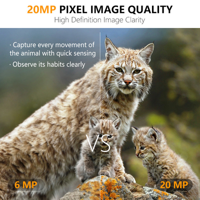 Fotocamera di caccia 20MP 1080P Fotocamera per la fauna selvatica Ignifuga IP67 Gioco e prova Fotocamera fino a 512GB Memoria fino a 82 piedi