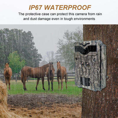 Telecamere da caccia HD a doppia lente