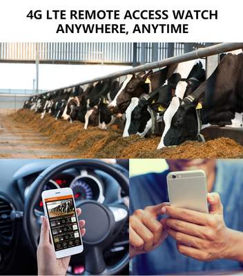 Monitor Wildlife 4G wireless Trail Camera APP Remote Remote basso prezzo 18650 batteria lunga durata di funzionamento