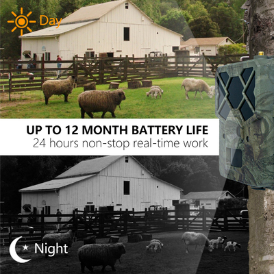 Monitor Wildlife 4G wireless Trail Camera APP Remote Remote basso prezzo 18650 batteria lunga durata di funzionamento