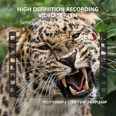 Fotocamera nascosta a doppio obiettivo KW696 OEM/ODM 0.4s trigger 1080P/30MP impermeabile IP67 100ft gamma notturna per la caccia alla fauna selvatica