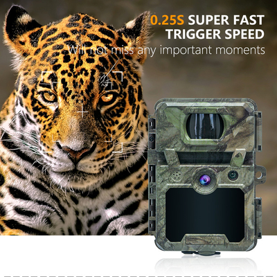 Minicamera wireless per l'esplorazione della fauna selvatica con camuffamento da 30MP IP66 impermeabile e funzione PIR per la caccia e la sicurezza