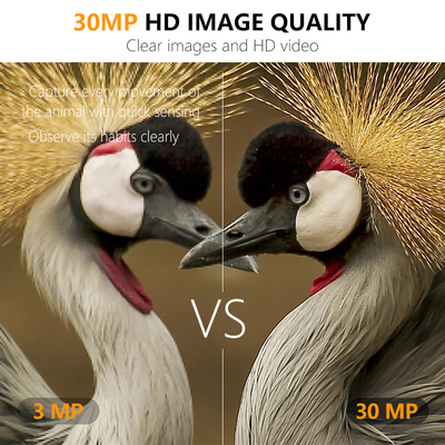 Minicamera wireless per l'esplorazione della fauna selvatica con camuffamento da 30MP IP66 impermeabile e funzione PIR per la caccia e la sicurezza
