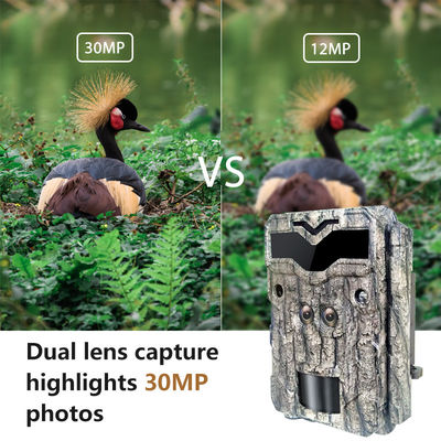 Fotocamere da caccia HD Keepguard Dual-Lens 32MP No-Glow LED Trail Camera 1080P Night Vision Camera da caccia per la fauna selvatica