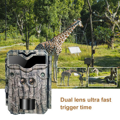 Fotocamere da caccia HD Keepguard Dual-Lens 32MP No-Glow LED Trail Camera 1080P Night Vision Camera da caccia per la fauna selvatica