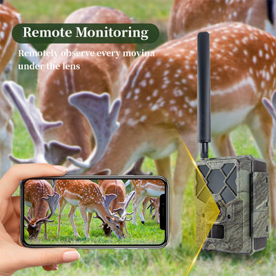 Telecamera da caccia 4G KW886 con telecomando, capacità video 1080p e portata notturna di 120 piedi