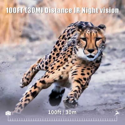 Fotocamera per animali selvatici ad alta risoluzione da 13 MP Cmos Dual Lens Trail Camera