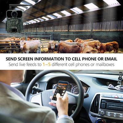 Macchina fotografica senza fili Ip65 impermeabile 1080p Hd 180mA della traccia di CMOS 25m IR