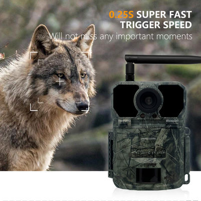 I sensori di 30MP Deer Trail Camera Megapixel impermeabilizzano IP65 con la carta di SDHC