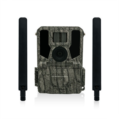 4G Trail Camera Offre opzioni di montaggio versatili e alloggiamento resistente alle intemperie Perfetto per compiti di monitoraggio all'aperto