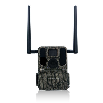 4G Trail Camera Offre opzioni di montaggio versatili e alloggiamento resistente alle intemperie Perfetto per compiti di monitoraggio all'aperto